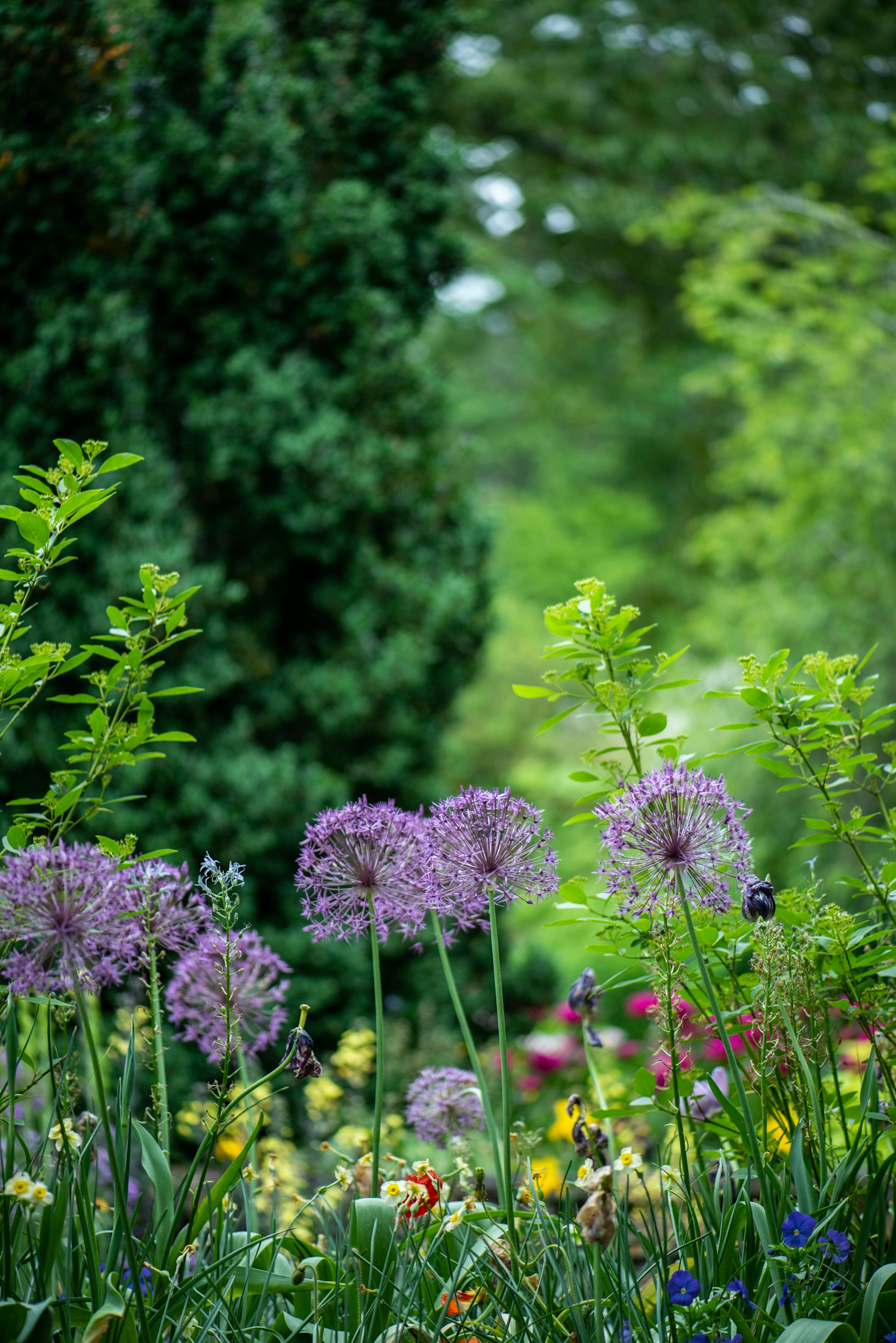 Welkom op onze blogsite :                tuinplezier