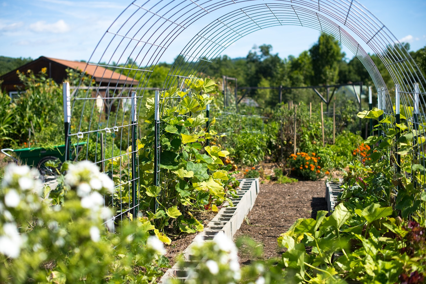 Creatieve manieren om tuinafval te hergebruiken
