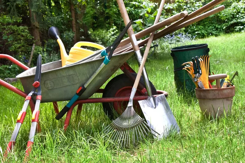 Najaar in de tuin:  7simpele klussen die je nu moet doen
