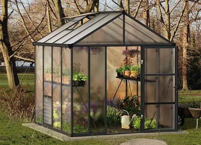 🌱 Dit is mijn kweekplan voor de komende winter + wat jij zelf al kunt starten!