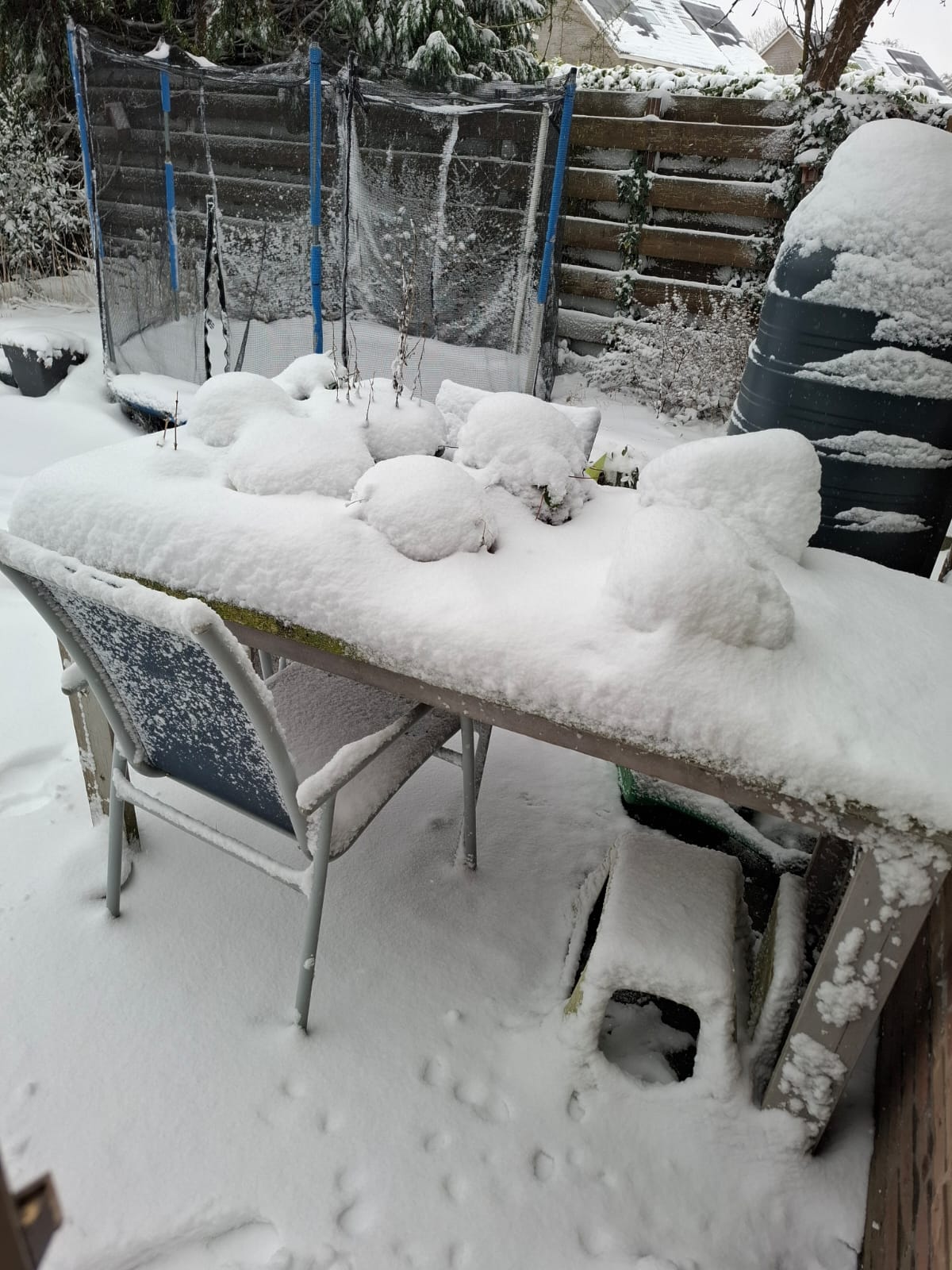 🧭​ Nieuwe tuinplannen maken: zo start je het jaar goed