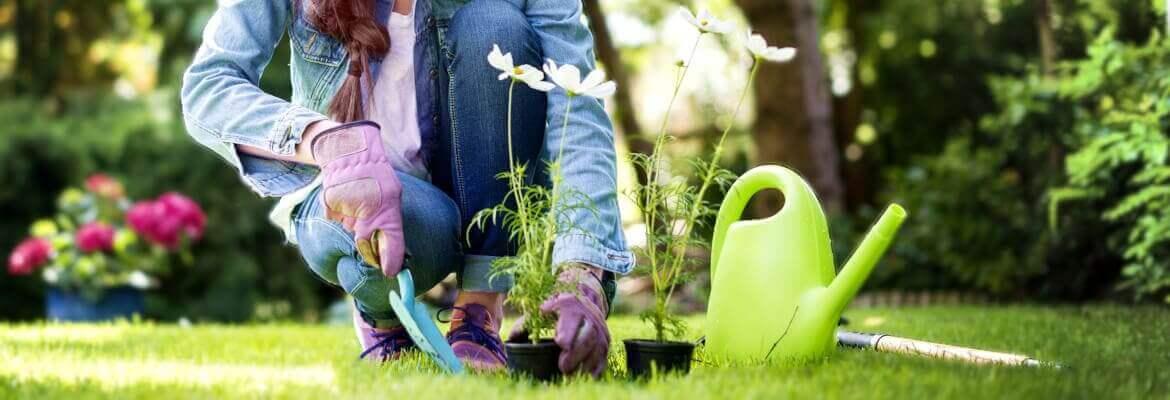 🌱 Lentekriebels in de tuin: tijd om weer naar buiten te gaan